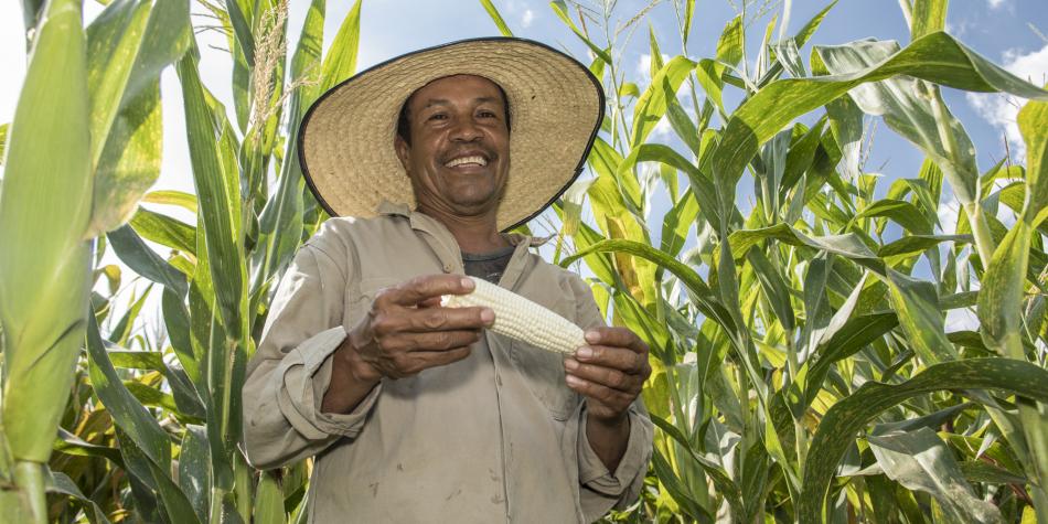 La puja que culminó con la salida de cerealeros de la SAC